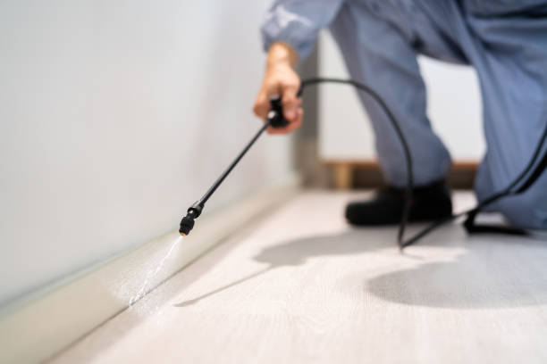 Bed Bug Pre-Treatment Preparation Assessment in Cave Junction
