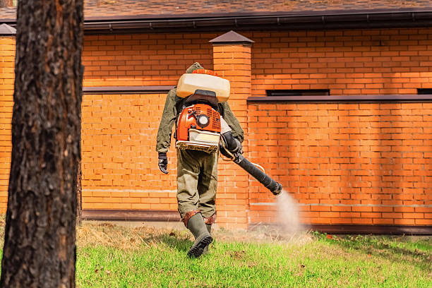 Bed Bug Clearance Verification and Documentation in Cave Junction